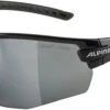 Alpina Tri-Scray 2.0 HR Brille 1 Alpina Tri-Scray 2.0 HR Brille -Endura Verkaufsgeschäft 297888