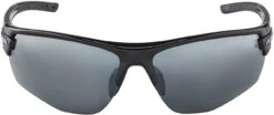 Alpina Tri-Scray 2.0 HR Brille -Endura Verkaufsgeschäft 297889