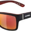 Alpina Kacey Brille 1 Alpina Kacey Brille -Endura Verkaufsgeschäft 324533