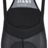 Assos Trail Liner Bib Shorts Träger-Unterhose -Endura Verkaufsgeschäft 392285