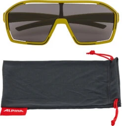 Alpina Bonfire Sportbrille -Endura Verkaufsgeschäft 414989