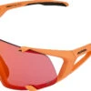 Alpina Hawkeye S Q-Lite Sportbrille 2 Alpina Hawkeye S Q-Lite Sportbrille -Endura Verkaufsgeschäft 415138