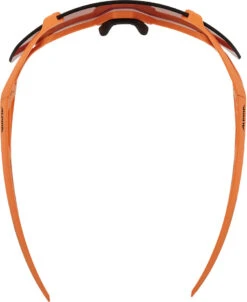 Alpina Hawkeye S Q-Lite Sportbrille -Endura Verkaufsgeschäft 415141