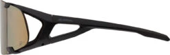 Alpina Hawkeye S Q-Lite Sportbrille -Endura Verkaufsgeschäft 415145