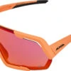 Alpina Rocket Q-Lite Sportbrille -Endura Verkaufsgeschäft 415198