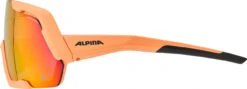 Alpina Rocket Q-Lite Sportbrille -Endura Verkaufsgeschäft 415200