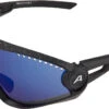 Alpina 5W1NG Sportbrille -Endura Verkaufsgeschäft 416608