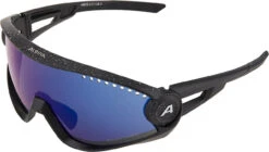 Alpina 5W1NG Sportbrille