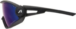 Alpina 5W1NG Sportbrille -Endura Verkaufsgeschäft 416610