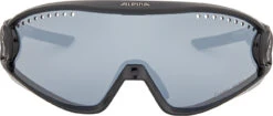 Alpina 5W1NG Sportbrille -Endura Verkaufsgeschäft 416614