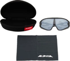 Alpina 5W1NG Sportbrille -Endura Verkaufsgeschäft 416617