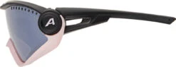 Alpina 5W1NG Sportbrille -Endura Verkaufsgeschäft 416620