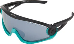 Alpina 5W1NG Sportbrille -Endura Verkaufsgeschäft 416623