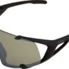 Alpina Hawkeye Q-Lite Sportbrille -Endura Verkaufsgeschäft 419225