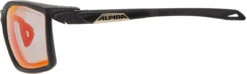 Alpina Twist Five QV Sportbrille 8 Alpina Twist Five QV Sportbrille -Endura Verkaufsgeschäft 419782
