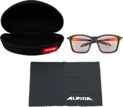 Alpina Twist Five QV Sportbrille 10 Alpina Twist Five QV Sportbrille -Endura Verkaufsgeschäft 419784