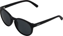 POC Know Polarized Brille