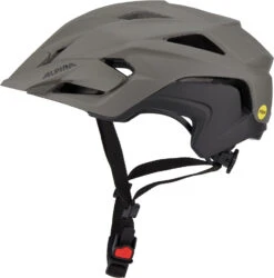 Alpina Stan MIPS Helm