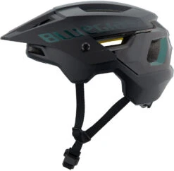 Bluegrass Rogue Core MIPS Helm