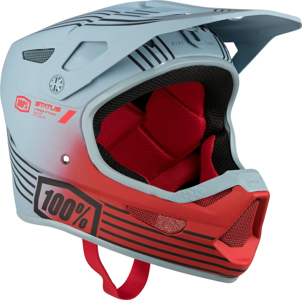 100% Status Helm 8 100% Status Helm - Image 6