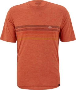 Patagonia Capilene Cool Daily Graphic T-Shirt