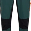 VAUDE Mens Qimsa Pants