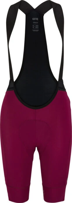 Gore Wear Ardent Damen Bib Shorts+ Trägershorts -Endura Verkaufsgeschäft 492803
