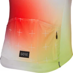 Gore Wear Cloud Trikot -Endura Verkaufsgeschäft 492836