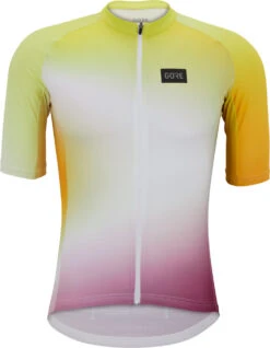 Gore Wear Cloud Trikot -Endura Verkaufsgeschäft 492837