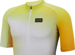 Gore Wear Cloud Trikot -Endura Verkaufsgeschäft 492839