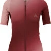 7mesh Skyline S/S Damen Trikot -Endura Verkaufsgeschäft 493358