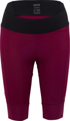 Gore Wear Ardent Damen Kurze Tights+ -Endura Verkaufsgeschäft 495042