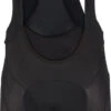Gore Wear C5 Opti Bib Shorts+ Trägerhose -Endura Verkaufsgeschäft 496033